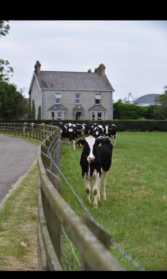 Ballyginniff Farm House Crumlin (Antrim) Exterior foto